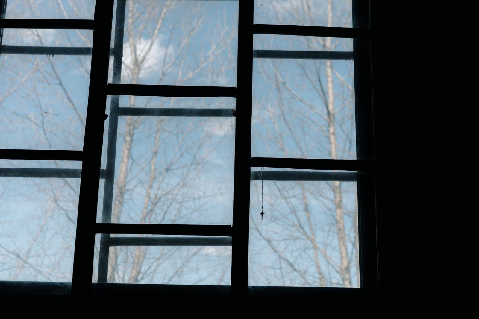 Silueta de una ventana con cielo despejado y ramas de un árbol sin hojas.